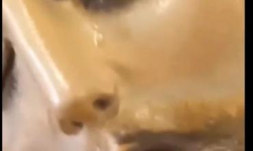 Conmoción en Villa Unión por un video que mostraría a una imagen de Cristo con lágrimas