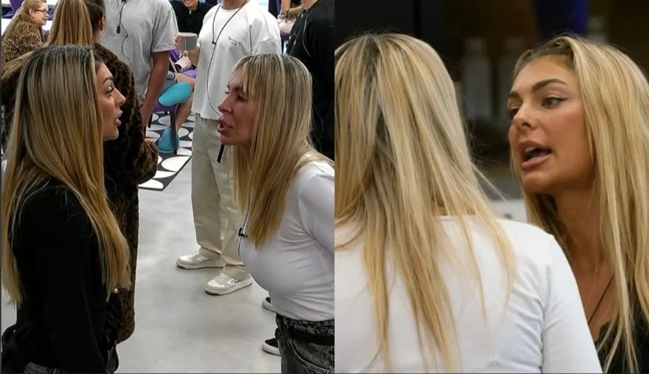344562_1782775397.jpg