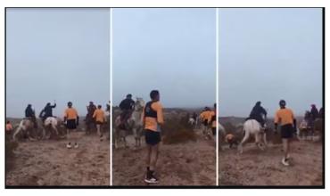 “Les debe estar picando el lomo todavía”: los repudiables audios mapuches después de atacar a “rebencazos” a runners en Río Negro