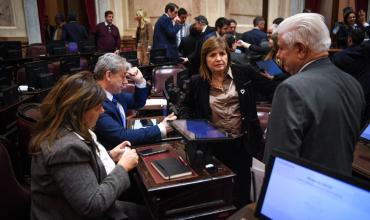 Una sesión en cuarto intermedio y leyes frenadas: la desafiante agenda del Senado hasta fin de año