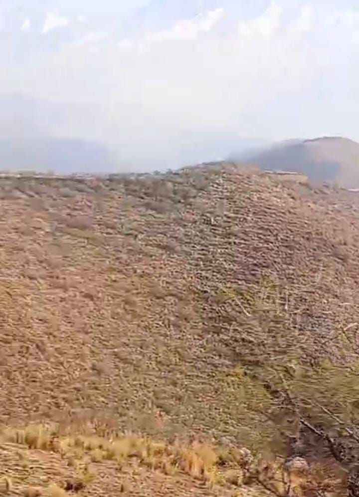 347549_1785172253.jpg