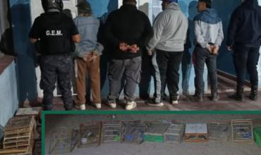 Cuatro riojanos fueron detenidos en Catamarca con 22 aves canoras transportadas de manera ilegal