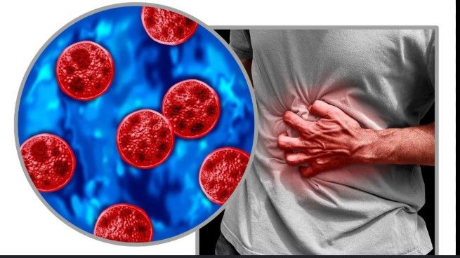 348492_1785965606.jpg
