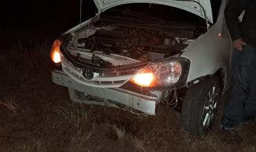 Un animal salvaje se cruzó en la ruta y provocó daños en un automóvil cerca de Chañar