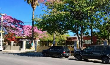 Trabajador municipal resultó herido con una motosierra mientras realizaba tareas de poda