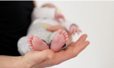 Especialista cruzó a Milei y desmintió que el aborto cause la baja de natalidad