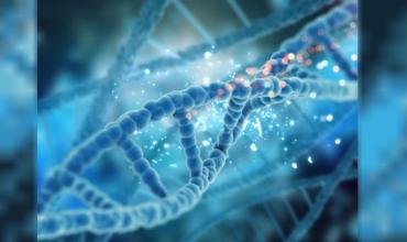 El ADN, una brújula genética que orienta a la ciencia y la toma de decisiones
