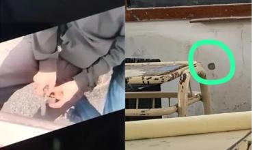 Terror en una escuela: un alumno de 14 años llevó un arma, disparó en plena clase y hay video