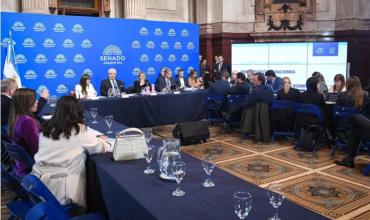 Se cayó el Súper RIGI en el Senado: el Gobierno no juntó las firmas necesarias y se traba el dictamen