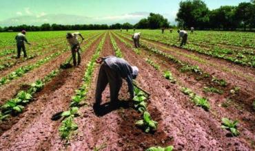 Advierten que 120.000 puestos rurales corren riesgo porque el Gobierno no renovó la compatibilidad con planes sociales