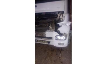 Un camión chocó contra un animal vacuno en Ruta 38