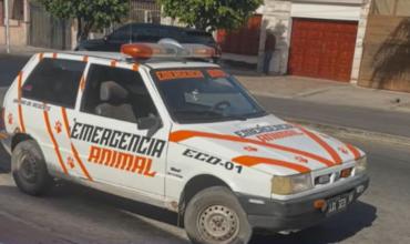 Polémica por un vehículo de Emergencia Animal: cuestionan el uso de sirena y su habilitación