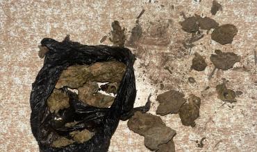 Un perro detector encontró un envoltorio con droga en el perímetro del Servicio Penitenciario