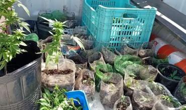 Corrientes: Desarticularon más de 150 puntos de venta de drogas, tras un golpe al narcomenudeo