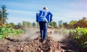 José Luis Volando, vicepresidente de la Federación Agraria Argentina: “Cada vez hay menos gente en los campos”