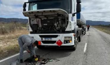 Un camión chocó contra una oveja y sufrió daños materiales sobre la Ruta 79