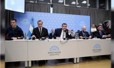 Diputados avanza con el abordaje de los proyectos sobre Discapacidad