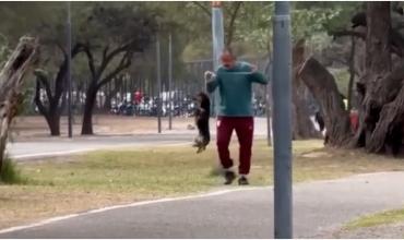 Catamarca: le iniciaron una causa judicial a un hombre que fue grabado ahorcando y pateando a su perro salchicha
