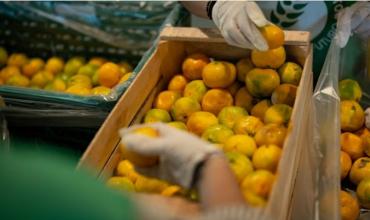 En Argentina, hoy cuesta más donar alimentos que tirarlos