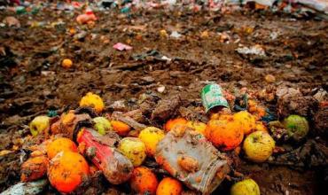 En Argentina se estima que hasta un tercio de los alimentos producidos se pierde o desperdicia