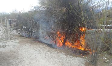 Se incendiaron colectivos en desuso en el ex predio de la empresa Sol Riojano
