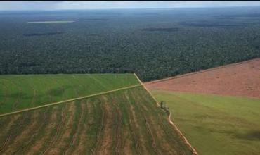 Ley de Tierras: la Justicia rechazó una medida urgente y la Corte define otra causa por la derogación del DNU 70/2023