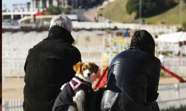 Fin de semana largo: En Mar del Plata, la ocupación hotelera solo llegó al 50%