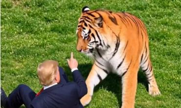 Polémica por el video con el que Trump se burla de la muerte de William Chapman