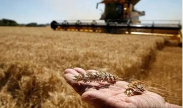 Brasil prevé producción récord de granos en 2026 a pesar de los riesgos de El Niño