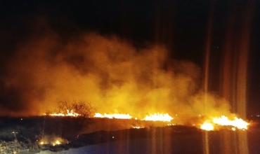 Un incendio de pastizales de gran magnitud movilizó a bomberos en camino a Juan Caro