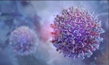 Virus Shamonda: el infectólogo Claudio Strasorier explica por qué el primer caso humano, en Francia, es "excepcional" y no hay riesgo para la población