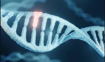  APOE4: qué es la variante genética que aumenta el riesgo de Alzheimer y por qué todavía no se usa como estudio de detección
