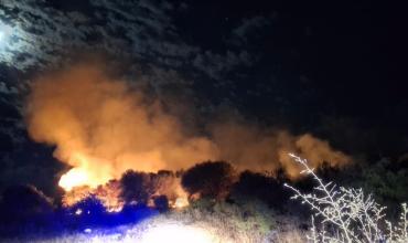 Chamical: se reavivó un incendio forestal de grandes dimensiones en la estancia Los Molinos