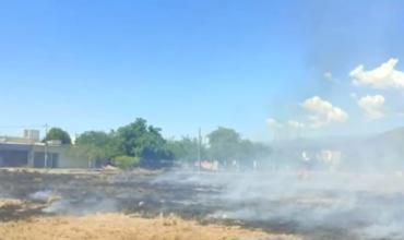 Un incendio de pastizales puso en peligro a caballos atados en el barrio Emeli Bestani