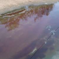 <br />
<b>Notice</b>:  Undefined index: $foto in <b>/var/www/fenix951/public/notidenuncia_ver.php</b> on line <b>106</b><br />
