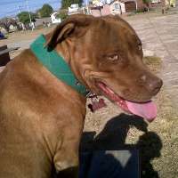 <br />
<b>Notice</b>:  Undefined index: $foto in <b>/var/www/fenix951/public/notidenuncia_ver.php</b> on line <b>106</b><br />
