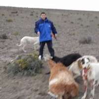 <br />
<b>Notice</b>:  Undefined index: $foto in <b>/var/www/fenix951/public/notidenuncia_ver.php</b> on line <b>106</b><br />
