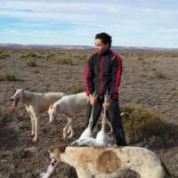 <br />
<b>Notice</b>:  Undefined index: $foto in <b>/var/www/fenix951/public/notidenuncia_ver.php</b> on line <b>106</b><br />
