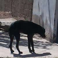 <br />
<b>Notice</b>:  Undefined index: $foto in <b>/var/www/fenix951/public/notidenuncia_ver.php</b> on line <b>106</b><br />
