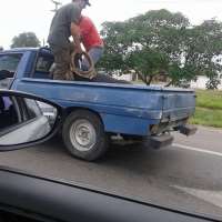 <br />
<b>Notice</b>:  Undefined index: $foto in <b>/var/www/fenix951/public/notidenuncia_ver.php</b> on line <b>106</b><br />
