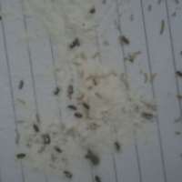 <br />
<b>Notice</b>:  Undefined index: $foto in <b>/var/www/fenix951/public/notidenuncia_ver.php</b> on line <b>106</b><br />
