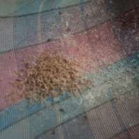 <br />
<b>Notice</b>:  Undefined index: $foto in <b>/var/www/fenix951/public/notidenuncia_ver.php</b> on line <b>106</b><br />
