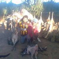 <br />
<b>Notice</b>:  Undefined index: $foto in <b>/var/www/fenix951/public/notidenuncia_ver.php</b> on line <b>106</b><br />
