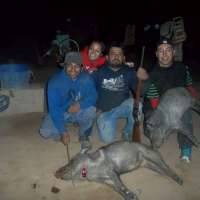 <br />
<b>Notice</b>:  Undefined index: $foto in <b>/var/www/fenix951/public/notidenuncia_ver.php</b> on line <b>106</b><br />
