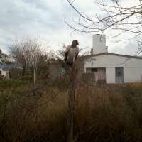 <br />
<b>Notice</b>:  Undefined index: $foto in <b>/var/www/fenix951/public/notidenuncia_ver.php</b> on line <b>106</b><br />
