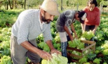 Destinan 1.000 millones para la producción de alimentos en la agricultura familiar