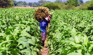 Un riojano será el nuevo coordinador del Fondo Especial del Tabaco