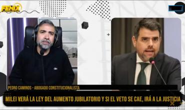 Pedro Caminos sobre una posible avanzada judicial del Gobierno: “El presidente puede vetar y el Congreso insistir en una ley y eso no es justiciable”