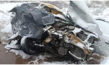 Tragedia en Río Negro: murieron dos mujeres y dos menores de edad tras chocar contra un camión en plena tormenta de nieve