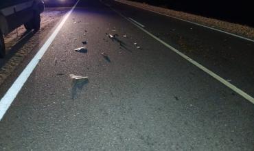 Ambulancia colisionó con un caballo en Ruta Nacional 60